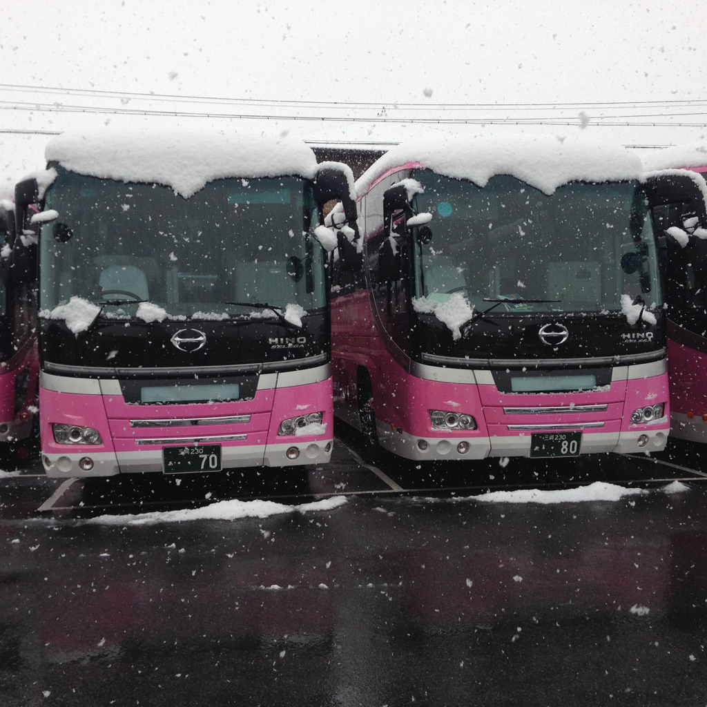 雪　ピンクバス